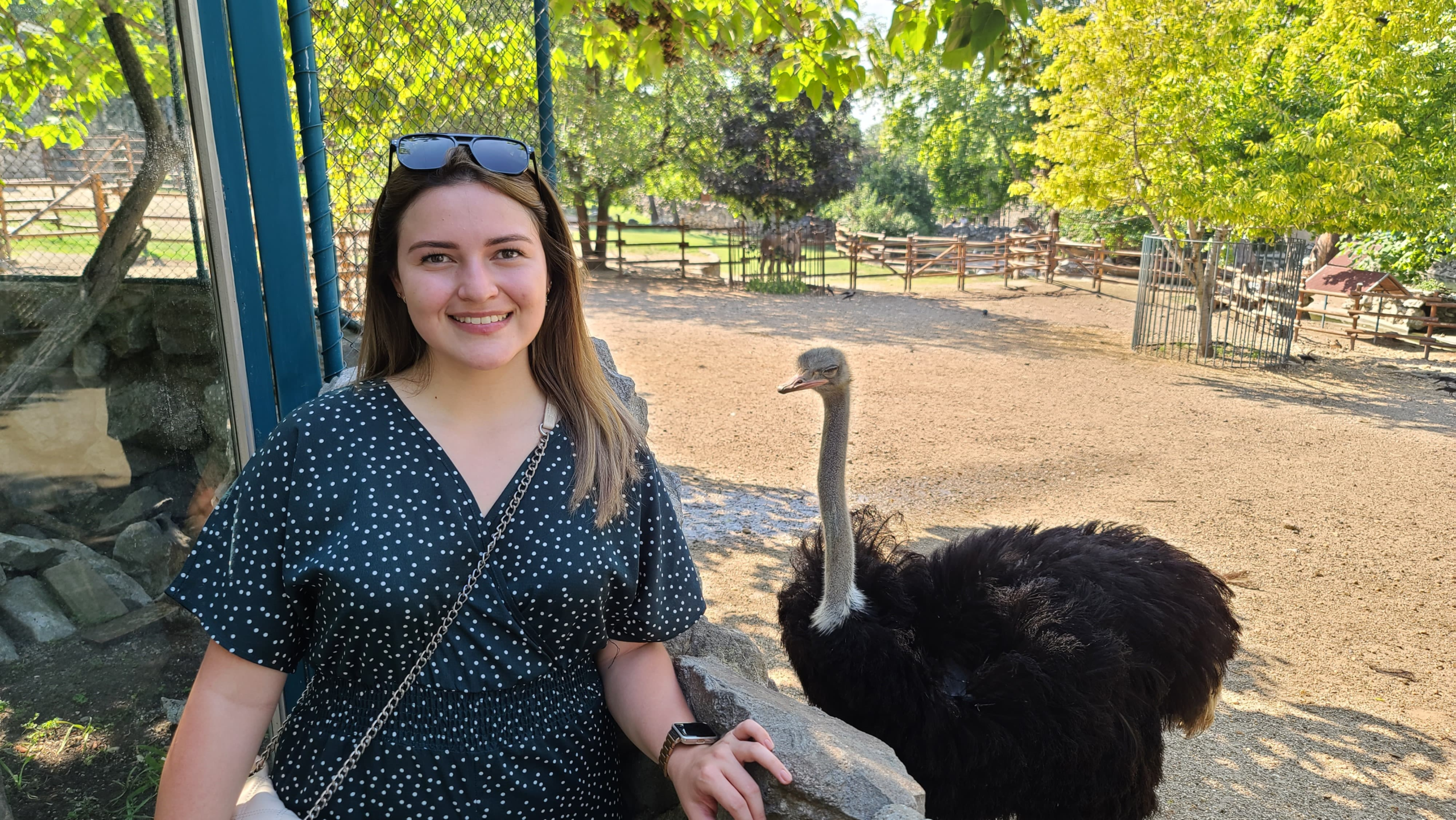 IMG-20240629-WA0709_Original