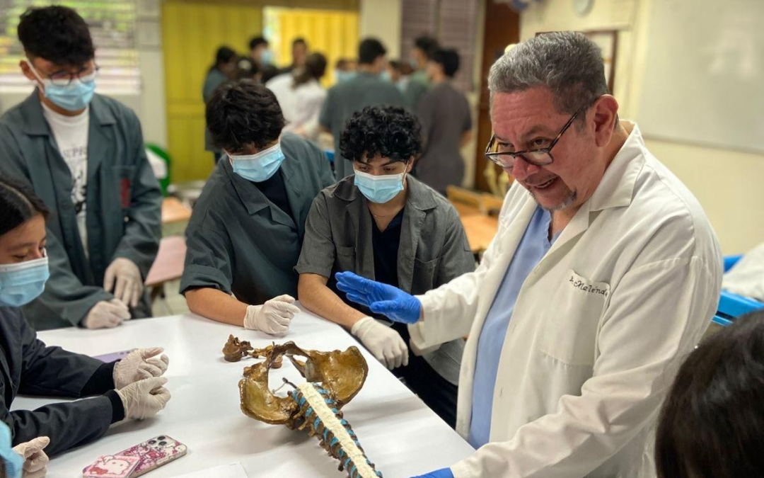 Taller de Anatomía Básica